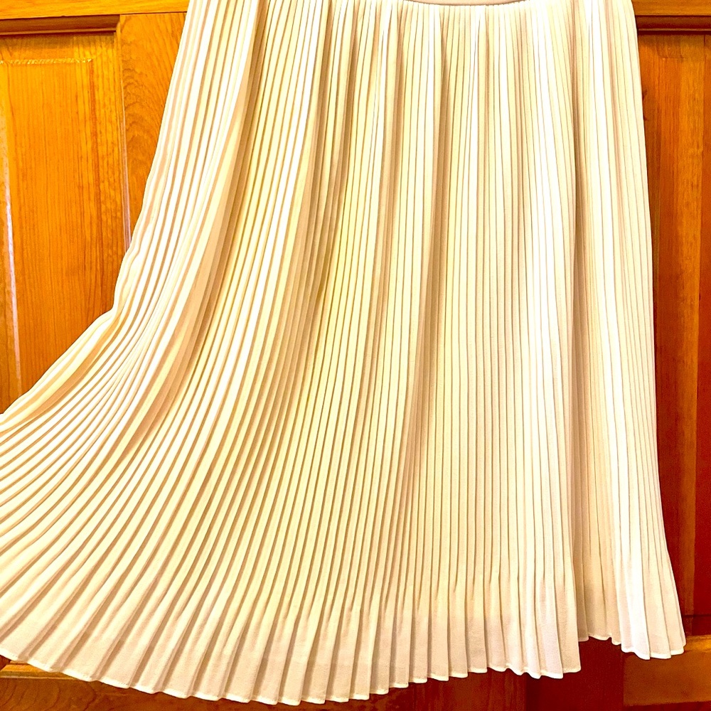 Sheer ballet-slipper-pink pleated skirt